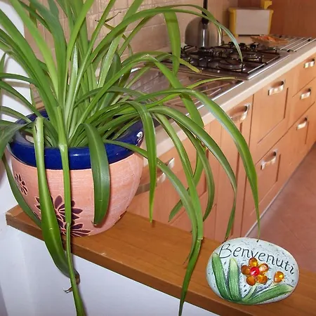 Apartamento Casa Mia *