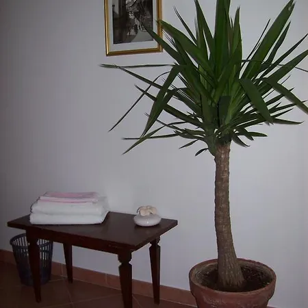 Apartment Casa Mia