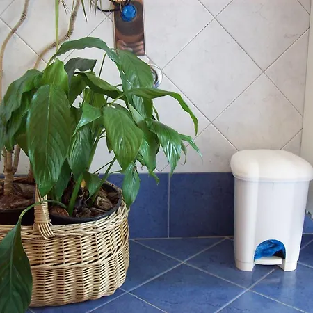 Casa Mia Apartment